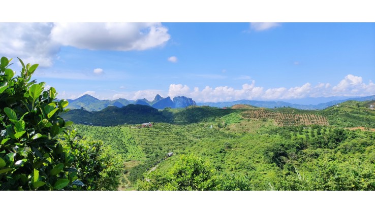 Bán đất rừng sx Cao Phong giá rẻ bám mặt đường liên xã