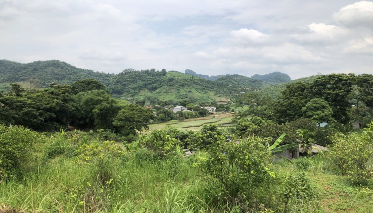 Bán đất tại cao phong diện tích 4000m có 2000 thổ cư thế đất thoải view ruộng bậc thang và những dãy núi phía xa thoáng mát.