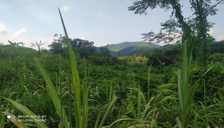 Lô đất 2000m2 full đất vườn tại Xuân Phong Cao Phong Hòa Bình giá đầu tư..