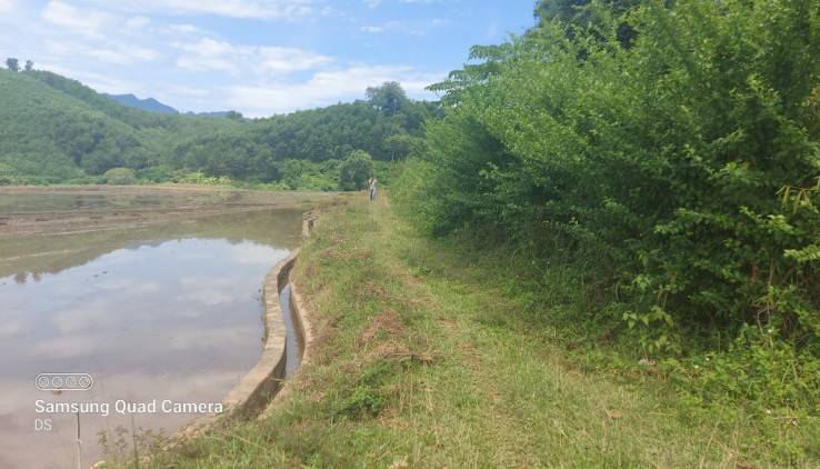 Bán đất Tân Lạc diện tích 2100m có 200 thổ cư còn lại là đất vườn view cánh đồng thoáng mát