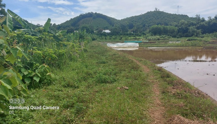 Bán đất Tân Lạc diện tích 2100m có 200 thổ cư còn lại là đất vườn view cánh đồng thoáng mát