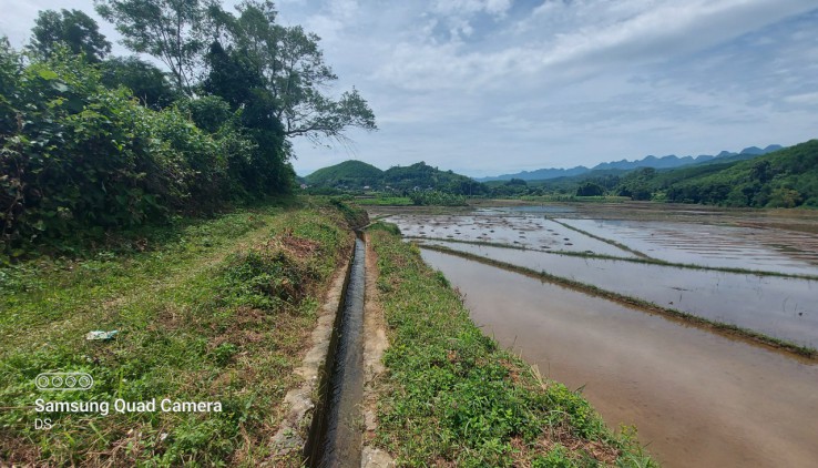 Bán đất Tân Lạc diện tích 2100m có 200 thổ cư còn lại là đất vườn view cánh đồng thoáng mát