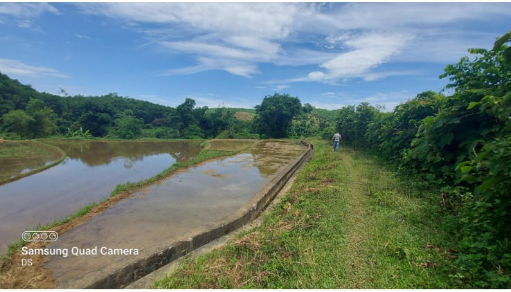 Bán đất Tân Lạc diện tích 2100m có 200 thổ cư còn lại là đất vườn view cánh đồng thoáng mát