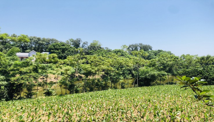 SIÊU PHẨM VIEW HỔ 3500M CHỈ 3,8 TỶ LƯƠNG SƠN HOÀ BÌNH.