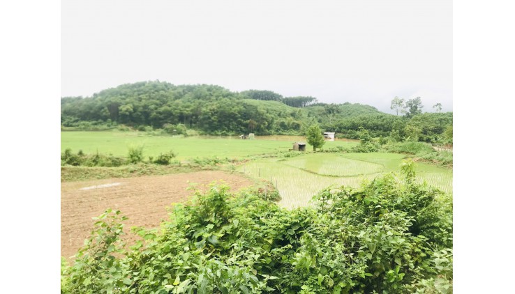 Bán lô đất có dt 1.1ha đất srx có thổ cư view cánh đồng tại Kim Bôi - HB
