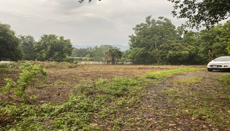 Bán 1009m đất thổ cư cạnh dự án Green Oasis Villas tại Lương Sơn, Hòa Bình!