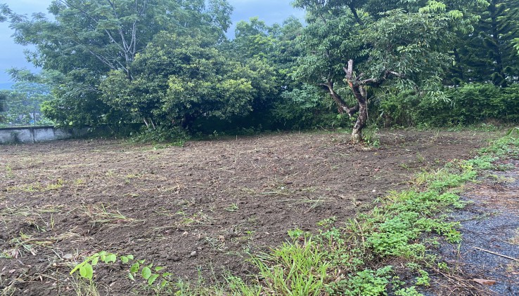 Chính chủ bán lô đất view cánh đồng cực đẹp không có lô thứ 2 tại Nhuận Trạch Luong Son Hoa Binh