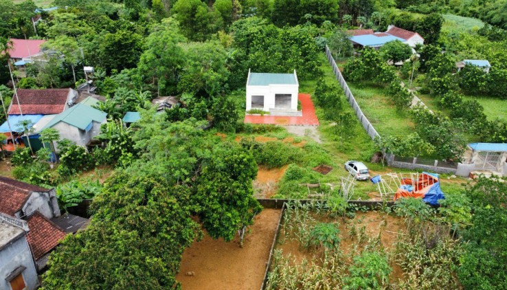 Gia chủ ở Xã Tân Vinh,Lương Sơn,Hoà Bình. bán mảnh vườn bao tâm huyết để lấy tiền do gd có việc cần