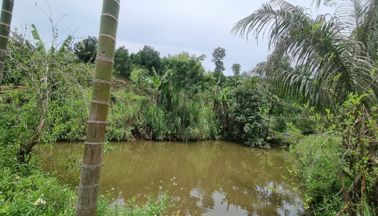 BÁN ĐẤT TẠI CAO PHONG ✔6670 full đất vườn bám suối cực đẹp