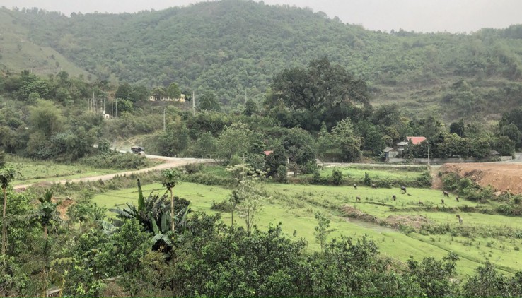Bán 1800m đất nghỉ dưỡng view cánh đồng cao thoáng tại Hòa Sơn - Lương Sơn - Hòa Bình .