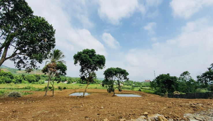 Hiếm bán mảnh đất tại Hòa Sơn Lương Sơn Hòa Bình 6200m2 khuân viên sẵn có ao view tháng giá đầu tư