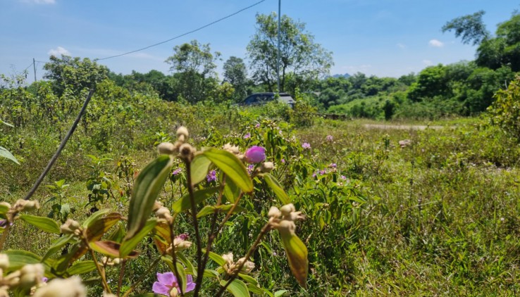 Chính chủ bán lô đất 1100m có 200m thỏ cư nằm trong quần thể Tophill thị trấn Lương Sơn Hòa Bình.