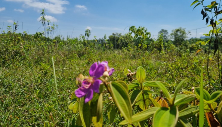 Cần bán 1100m đất Lương Sơn vuông vắn, giao thông thuận tiện.