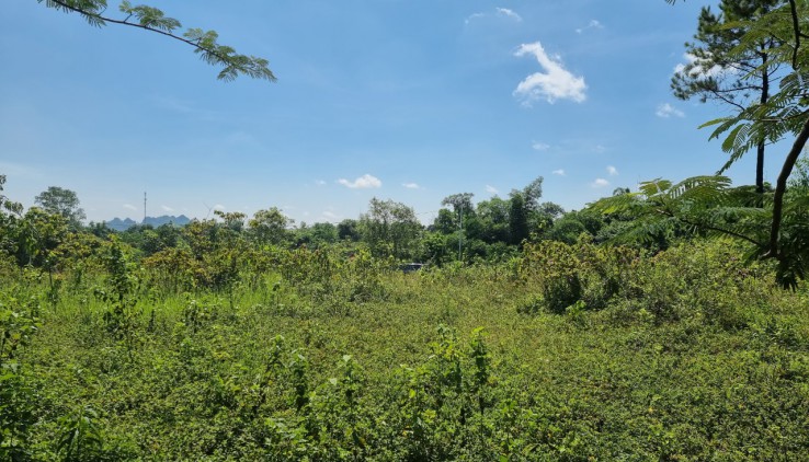 Siêu Phẩm 1100m nằm trong quần thể nghỉ dưỡng tophill tại Lương Sơn, Hoà Bình giá đầu tư.
