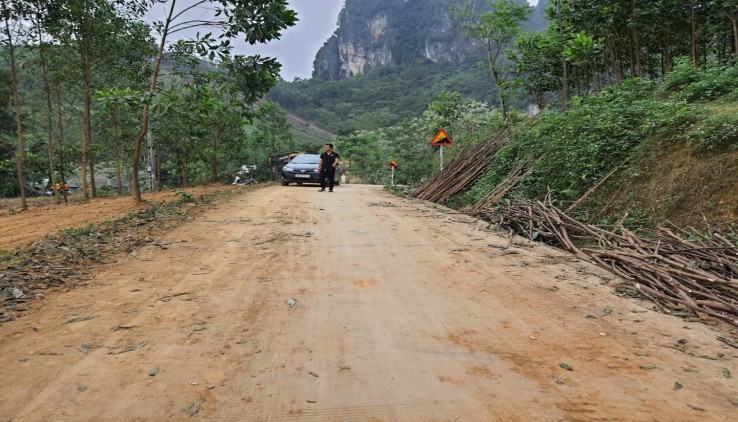 Bán siêu phẩm 4.000m2 đất nghỉ dưỡng giá siêu rẻ tại Kim Bôi, Hòa Bình