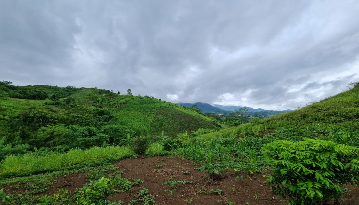 CHÍNH CHỦ GỬI BÁN LÔ ĐẤT 5230M 400M THỔ CƯ, 1800M ĐẤT VƯỜN, 3000M ĐẤT RỪNG, PHÙ HỢP LÀM NGHỈ DƯỠNG