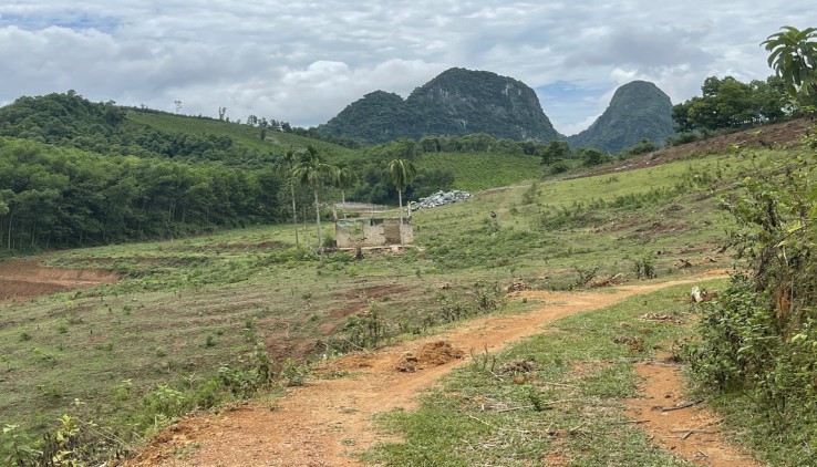 Bán đất bám hồ tại Kim Bôi Hòa Bình 3ha 1300m2 thổ cư còn lại đất vườn giá vài trăm nghìn /m2