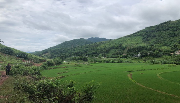Cần bán 1300m 1200ONT tại KIm Bôi