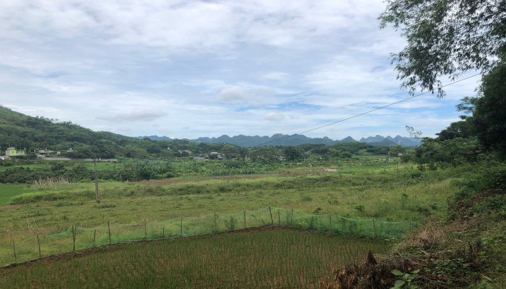 Bán đất Kim Bôi dt 1300m có 1200m ont view đẹp ,giá rẻ dành cho quý anh chị đầu tư nhỏ.