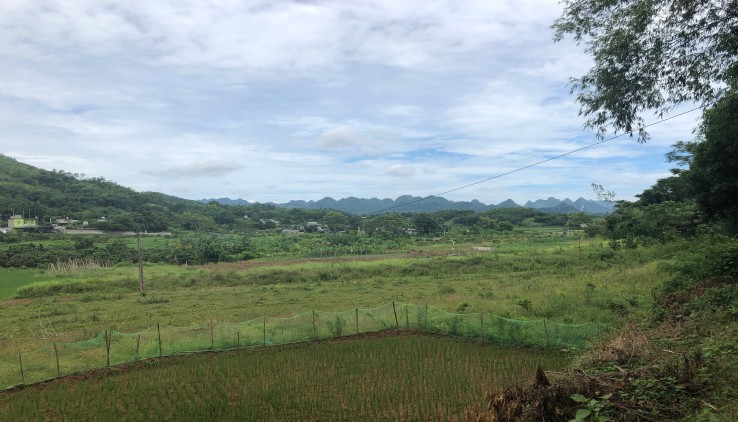 chính chủ đất  Kim Bôi dt 1300m có 1200m ont view đẹp ,giá rẻ