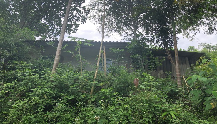 chính chủ đất  Kim Bôi dt 1300m có 1200m ont view đẹp ,giá rẻ
