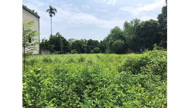 Bán đất Lương Sơn dt 1440m tại suối nẩy hòa sơn gần dự án Suối Hoa villas