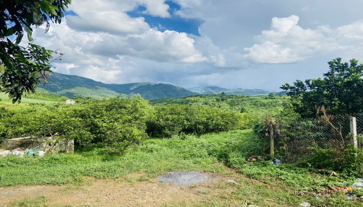 Cần bán trang trại cam Cao Phong giá cực rẻ