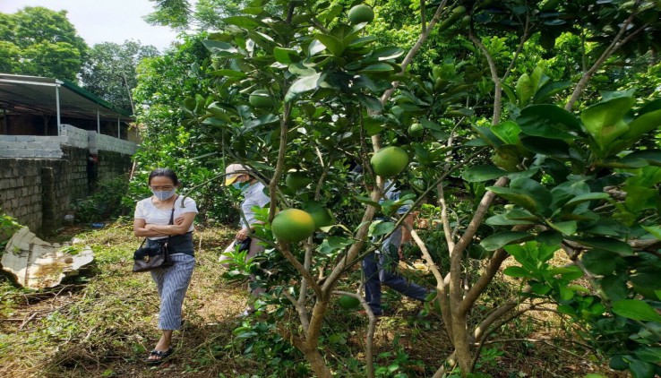 Bán 1008m.400ont đất có thể phân nhiều  lô đẹp tại Hoàng Văn Thụ - Chương Mỹ - Hà Nội