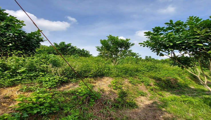 Bán đất Lương Sơn (Nhanh tay sở hữu lô Đất Nhà Vườn siêu phẩm).