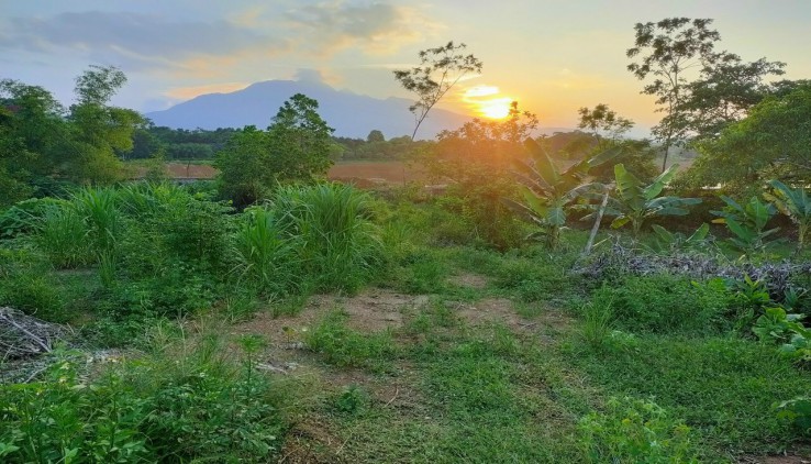 Bán lô đất 972m mặt tiền 45M cách đường 87 chưa đến 2km.