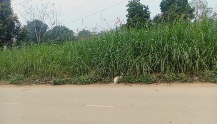 Bán lô đất 972m mặt tiền 45M cách đường 87 chưa đến 2km