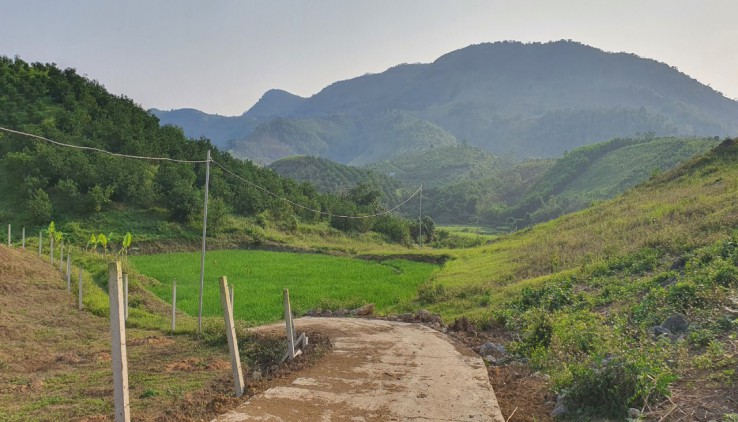 bán 5100m thực tế 10.000m tặng hàng trăm gốc cam sai trĩu quả giá 600tr