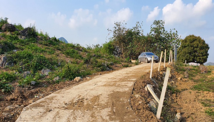 bán 5100m thực tế 10.000m tặng hàng trăm gốc cam sai trĩu quả giá 600tr