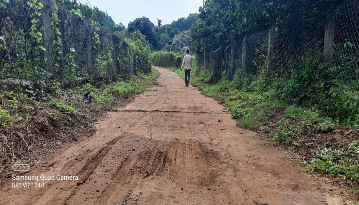 CHỦ GỬI BÁN 3300M ĐẤT TẠI CAO PHONG GIÁ MÙA COVID