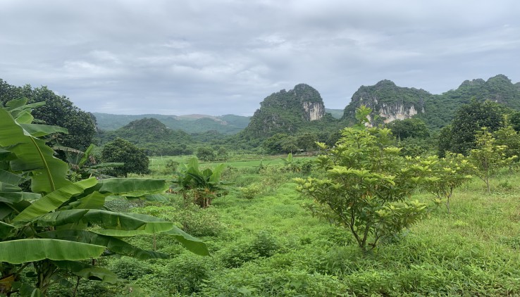 bán 32.000m có 200 thổ cư view cánh đồng, núi non giá 120k/m2