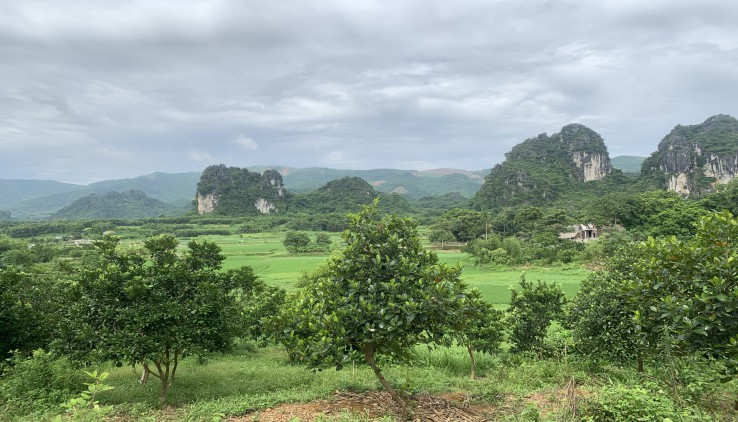 bán 32.000m có 200 thổ cư view cánh đồng, núi non giá 120k/m2