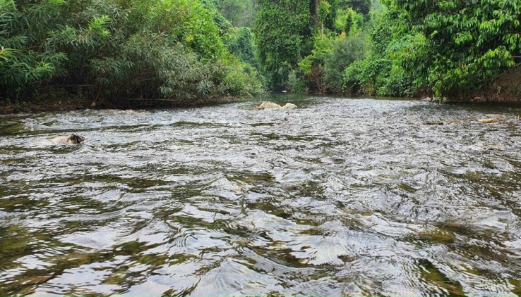 Đầu tư siêu lợi nhuận với 7000m2 thổ tại Cao Phong HB gần khu du lịch và địa điểm trung tâm giá rẻ