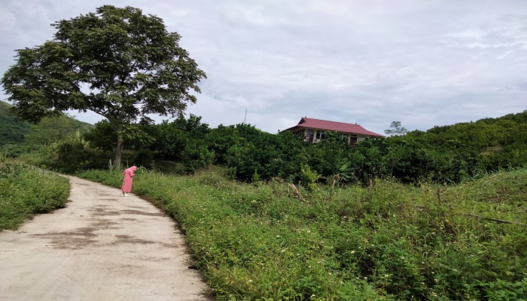 Bán Nhanh Lô Đất 1,8ha Trang Trại Nghỉ Dưỡng Tại Hòa Bình - Cách Hà Nội Chỉ 60Km