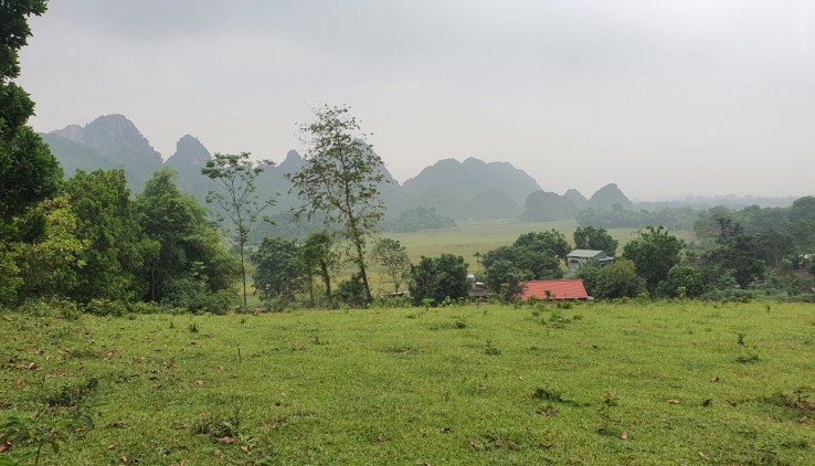 Bán mảnh đất view cánh đồng, núi đá trập trùng tuyệt đẹp giá cực rẻ tại Lương Sơn.
