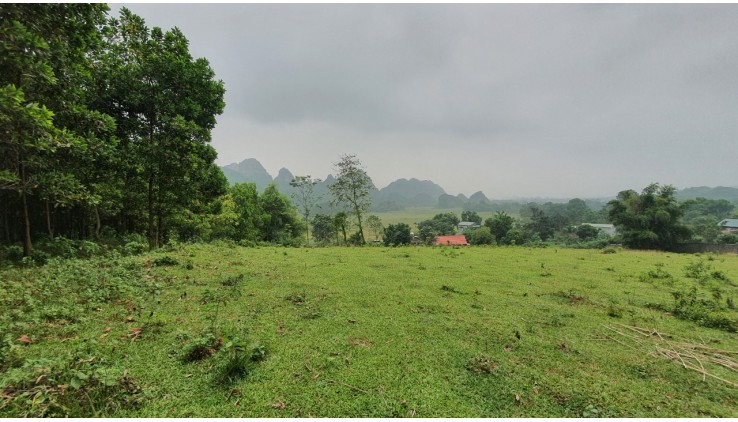 Bán 6400m view cánh đồng, núi đá trập trùng tuyệt đẹp giá chỉ 700tr tại Lương Sơn