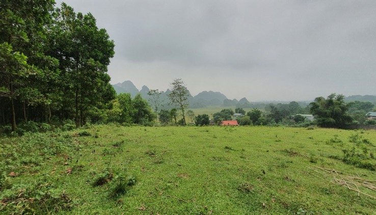 Bán 4600m view cánh đồng, núi đá trập trùng tuyệt đẹp giá chỉ 700tr tại Lương Sơn