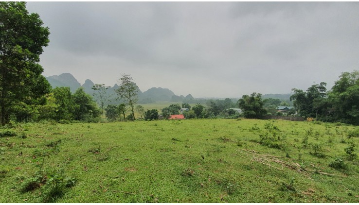 Bán 6400m view cánh đồng, núi đá trập trùng tuyệt đẹp giá chỉ 700tr tại Lương Sơn
