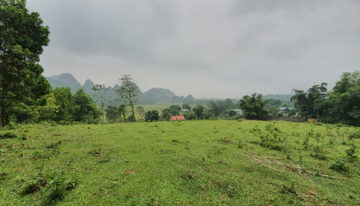 Bán 4600m view cánh đồng, núi đá trập trùng tuyệt đẹp giá chỉ 700tr tại Lương Sơn