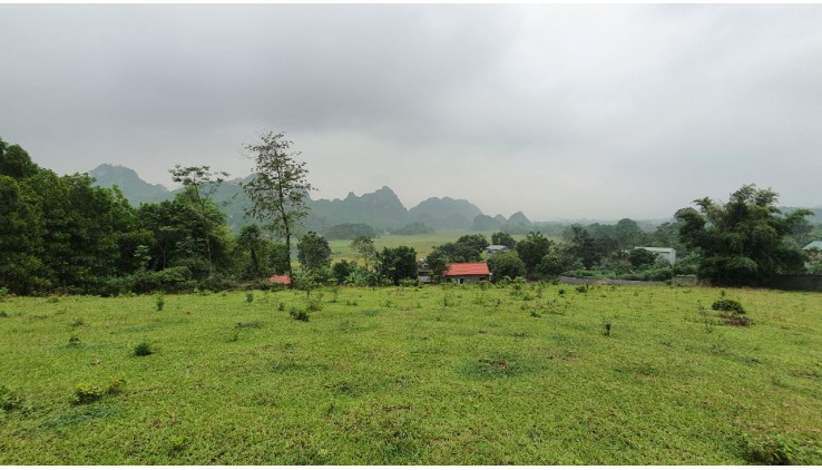 Bán 6400m view cánh đồng, núi đá trập trùng tuyệt đẹp giá chỉ 700tr tại Lương Sơn