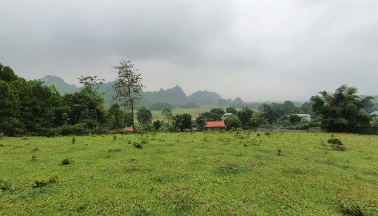 Bán 4600m view cánh đồng, núi đá trập trùng tuyệt đẹp giá chỉ 700tr tại Lương Sơn