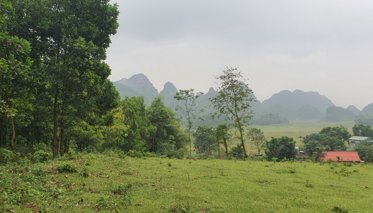 Bán 4600m view cánh đồng, núi đá trập trùng tuyệt đẹp giá chỉ 700tr tại Lương Sơn