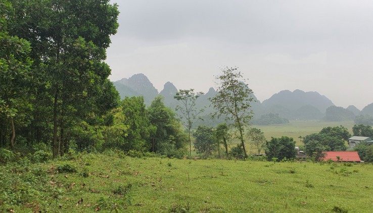 Bán mảnh đất view cánh đồng, núi đá trập trùng tuyệt đẹp giá cực rẻ tại Lương Sơn.