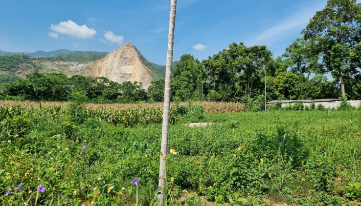 CỰC ĐẸP 1600M NẰM TRONG QUẦN THỂ NGHỈ DƯỠNG NGƯỜI HÀ NỘI - CÁCH HÀ NỘI CHỈ 36KM