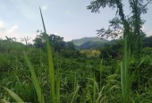 - Diện tích 2000m2 full đất vườn tại Xuân Phong Cao Phong Hòa Bình