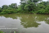 Bán đất Chương Mỹ 1066m² bám đường bê tông rộng 2 ô tô tránh nhau.